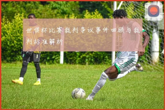 世俱杯比赛裁判争议事件回顾与裁判标准解析